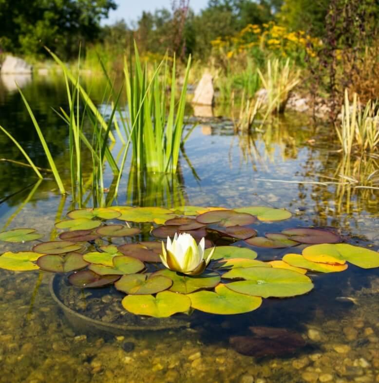 Bassin artificiel